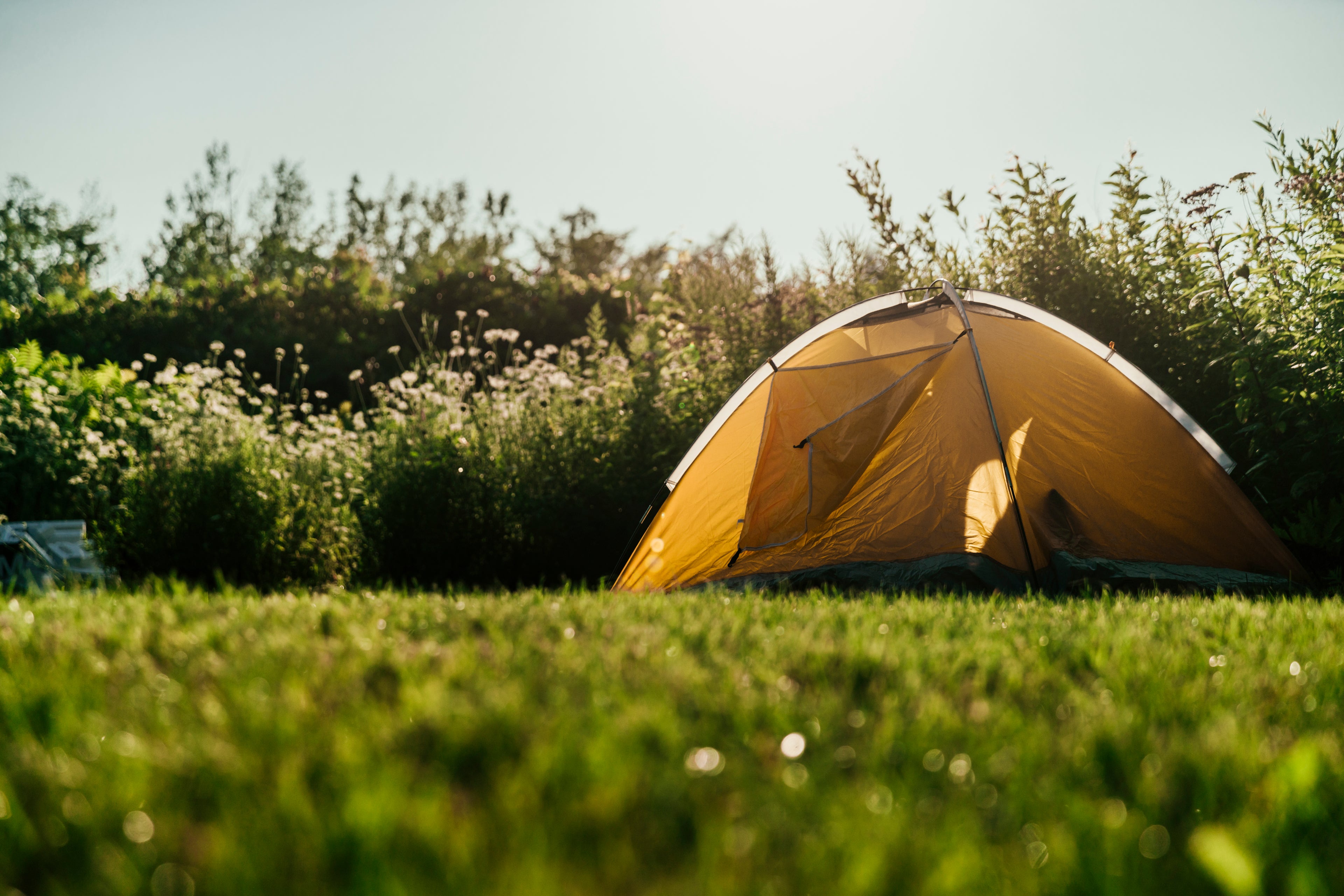 tent-at-fields-edge - Just Camp - Australia